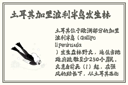 人间水蜜桃mac923av